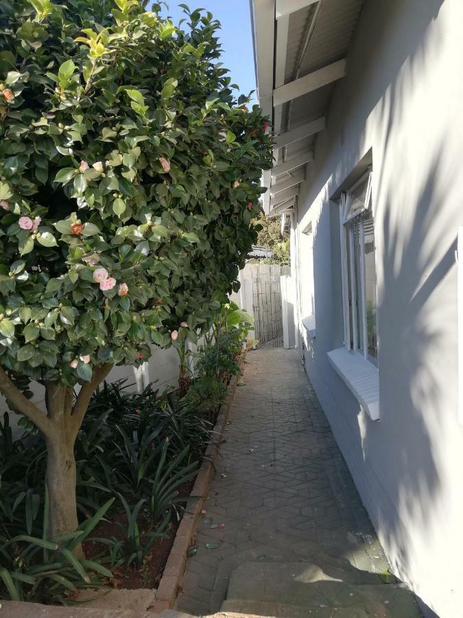 בוקסבורג Willow Guest House מראה חיצוני תמונה